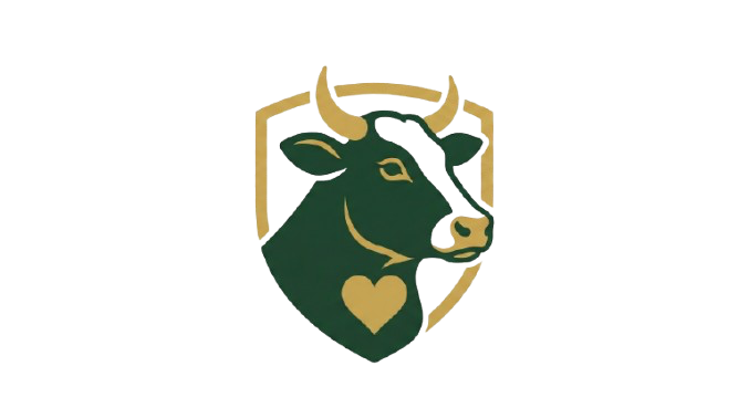 Premium Cattle Care & Nutrition